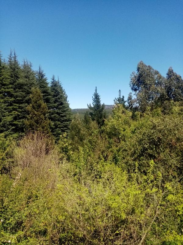 3 Bedroom Property for Sale in Hogsback Eastern Cape